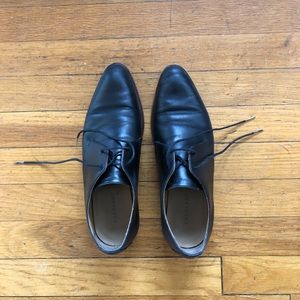 Everlane modern oxford